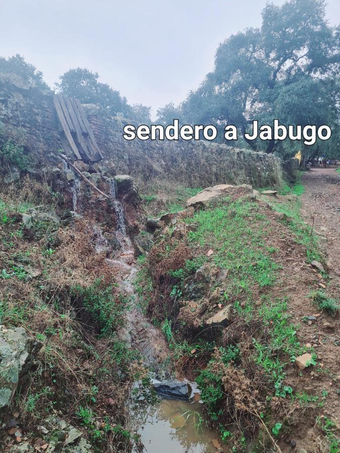 הוילה Los Romeros La Casa Junto Al Sendero Del Rio & Piscina # Aire Acondicionado מראה חיצוני תמונה